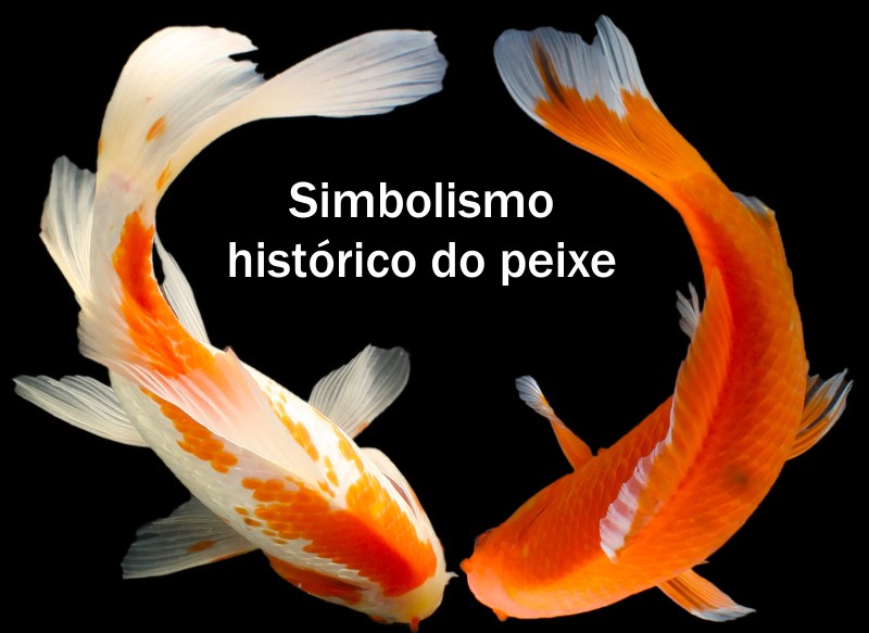 simbolismo historico do peixe
